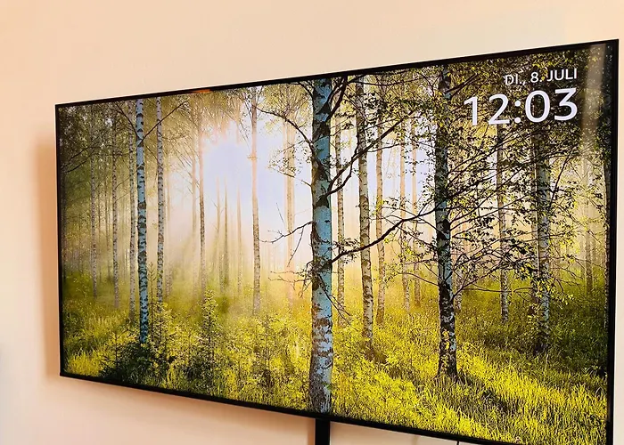 Klassen - Exklusive Altbau - Zentral - Rheinnaehe Koblenz (Rhineland-Palatinate)